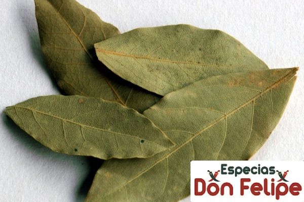 Hoja de Laurel
